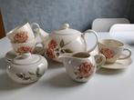 Rose, Jet and compagnie servies. Theepot e.d., Huis en Inrichting, Keuken | Servies, Overige typen, Ophalen of Verzenden, Zo goed als nieuw
