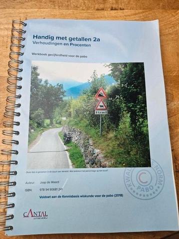 Handig met getallen 2a - Verhoudingen en Procenten beschikbaar voor biedingen