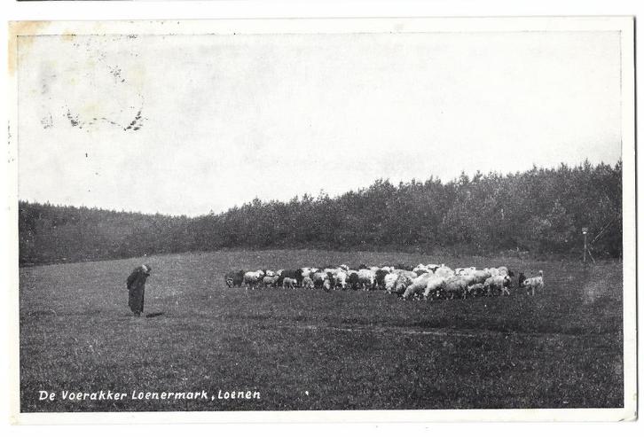 Loenen, De Voerakker Loenermark, Verzamelen, Ansichtkaarten | Nederland, Gelopen, Gelderland, 1940 tot 1960, Verzenden