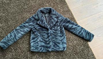 Jas winter, gallery118 - grey black zebra  - L goosecraft beschikbaar voor biedingen