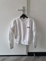 Amy & ivy witte trui maat S, Kleding | Dames, Truien en Vesten, Wit, Ophalen of Verzenden, Maat 36 (S), Amy & Ivy