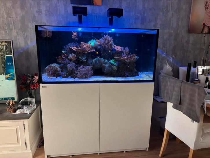Red sea reefer 425 xl G2 wit compleet set, Dieren en Toebehoren, Vissen | Aquaria en Toebehoren, Zo goed als nieuw, Gevuld zeewateraquarium