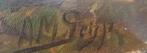 schilderij van A M Geyp, Antiek en Kunst, Kunst | Schilderijen | Klassiek, Ophalen of Verzenden