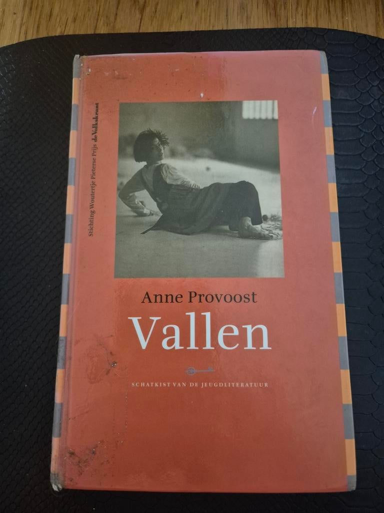 Anne Provoost - Vallen, Ophalen of Verzenden, Zo goed als nieuw, Anne Provoost