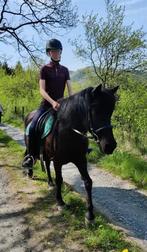 Bijrijd paard/pony gezocht!, Dieren en Toebehoren, Paarden en Pony's | Verzorgingsproducten, Ophalen of Verzenden, Zo goed als nieuw