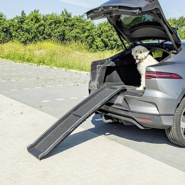 Hondenloopplank, Dieren en Toebehoren, Honden-accessoires, Nieuw, Ophalen of Verzenden