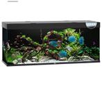 gezocht: Juwel Aquarium Rio 450 Led 151x51x66 cm, Gebruikt, Ophalen of Verzenden, Leeg aquarium