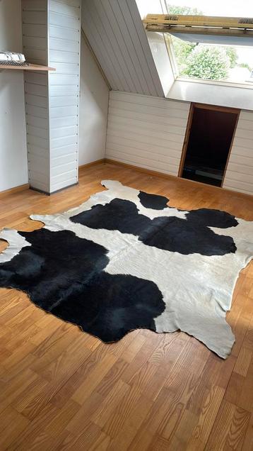 Koeienhuid kleed beschikbaar voor biedingen