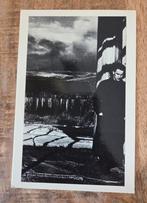 U2 - Bono, Verzenden, 1960 tot 1980, Ongelopen