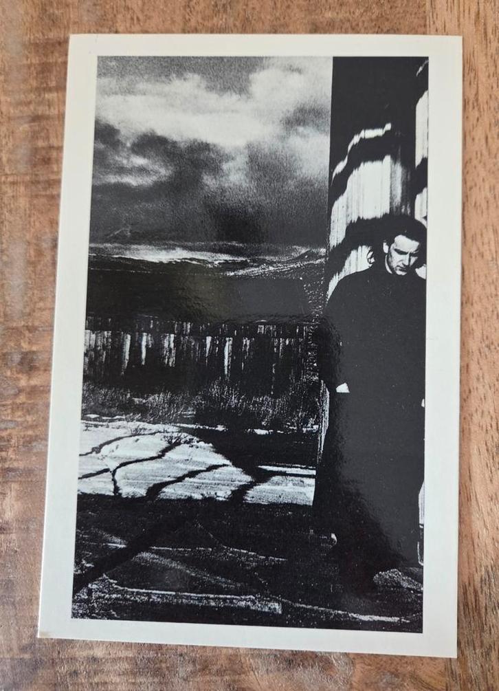 U2 - Bono, Verzamelen, Ansichtkaarten | Themakaarten, Ongelopen, 1960 tot 1980, Verzenden