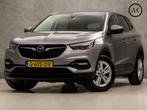 Opel Grandland X 1.2 Turbo Business+ Automaat (APPLE CARPLAY, Gebruikt, 1199 cc, Leder en Stof, Origineel Nederlands