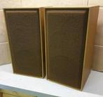 Audiotronic criterion 25 vintage speakers i.z.g.s., Ophalen of Verzenden