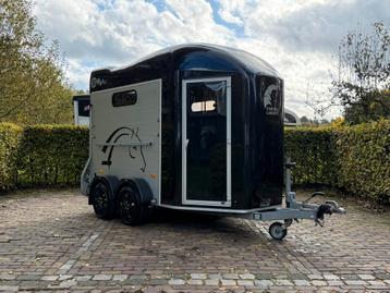 Prachtige cheval liberte gold 3 met zadelkamer vol aluminium beschikbaar voor biedingen