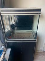 Aqualantis aquarium. 60x60x40, Dieren en Toebehoren, Ophalen, Zo goed als nieuw, Leeg aquarium