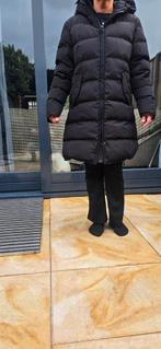 Dames Winterjas  merk airforce  kleur zwart xl, Kleding | Heren, Jassen | Winter, Ophalen of Verzenden, Zo goed als nieuw, Maat 56/58 (XL)