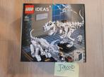 Lego 21320 Ideas Dino, Ophalen of Verzenden, Zo goed als nieuw