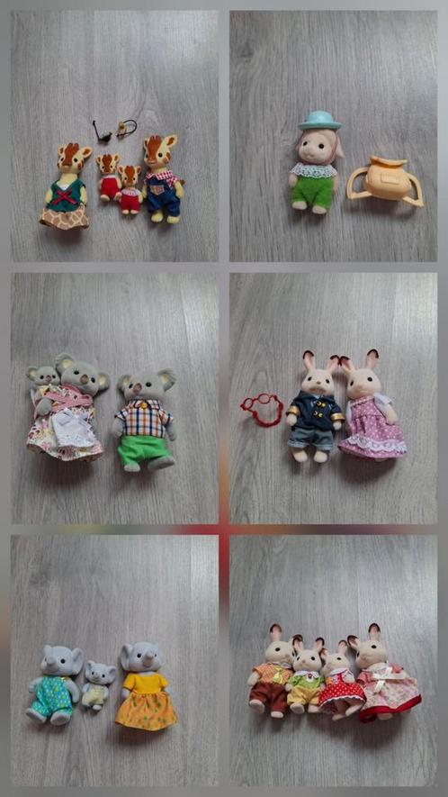 Complete uitzet Sylvanian Families, Kinderen en Baby's, Speelgoed | Overig, Zo goed als nieuw, Jongen of Meisje, Ophalen of Verzenden