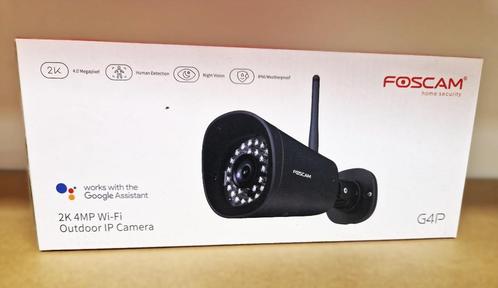 Foscam Outdoor IP Camera, Audio, Tv en Foto, Videobewaking, Nieuw, Buitencamera, Ophalen of Verzenden