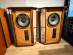 ‼️‼️Vakantie Deal‼️‼️ Tannoy Memory Luidsprekers 15 Inch, Overige merken, Ophalen of Verzenden, Zo goed als nieuw, 120 watt of meer