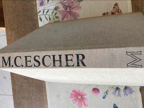 Leven en werk van Escher, Boeken, Kunst en Cultuur | Fotografie en Design, Gelezen, Ophalen of Verzenden