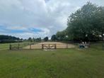 24/7 buitenstalling/paddock paradise Zundert, Dieren en Toebehoren, Stalling en Weidegang