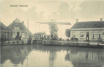 (304-098-035) Ossenzijl Gezicht Ossenzijl beschikbaar voor biedingen