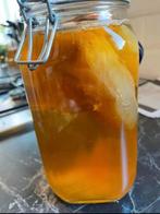 Kombucha SCOBY voor zelfgemaakte kombucha, Ophalen