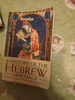 History Hebrew language historie joodse taal Bijbel Badillos, Overige wetenschappen, Ophalen of Verzenden, Zo goed als nieuw, Angel Saenz Badillos