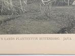 Lichtdruk Java, Nederlands Indië ca. 1910 Buitenzorg, Ophalen of Verzenden