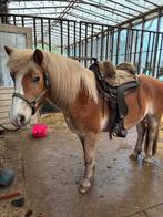 Barefoot lazy mountain maat 2, Dieren en Toebehoren, Paarden en Pony's | Zadels, Ophalen of Verzenden, Western