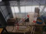 3 Russische dwerghamsters plus 3 bakken en toebehoren, Kooi, Minder dan 75 cm, Zo goed als nieuw, Ophalen