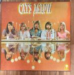 The cats volendam puzzel, Ophalen of Verzenden, 500 t/m 1500 stukjes, Zo goed als nieuw, Legpuzzel
