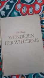 origineel Disney hardcover boek, Ophalen of Verzenden, Overige figuren, Gebruikt, Overige typen