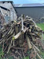 7 kuub coniferenhout, 6 m³ of meer, Ophalen, Overige houtsoorten, Takken