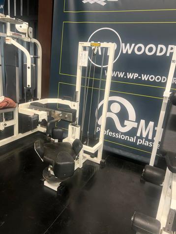 Technogym Rotary Torso - Rotatie Machine beschikbaar voor biedingen