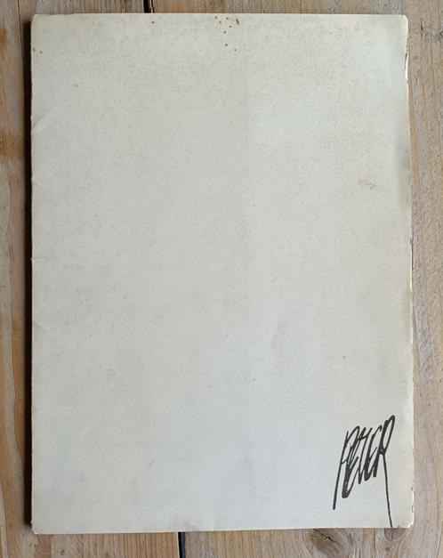Peter van Straaten - portfolio Het Parool, Boeken, Kunst en Cultuur | Beeldend, Zo goed als nieuw, Schilder- en Tekenkunst, Ophalen of Verzenden