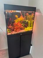 JUWEL LIDO120 | CHIHIROS | OASE250, Dieren en Toebehoren, Ophalen, Zo goed als nieuw, Gevuld zoetwateraquarium