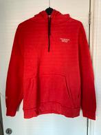 Daily Aesthetikz Hoodie maat XL, Maat 56/58 (XL), Ophalen of Verzenden, Zo goed als nieuw, Daily aesthetikz