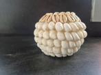 Schelpen waxinelichthouder, Ophalen of Verzenden, Nieuw, Overige materialen, Minder dan 25 cm