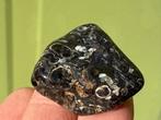 Turitella Agaat broekzaksteen mineralen fossiel, Ophalen of Verzenden, Mineraal