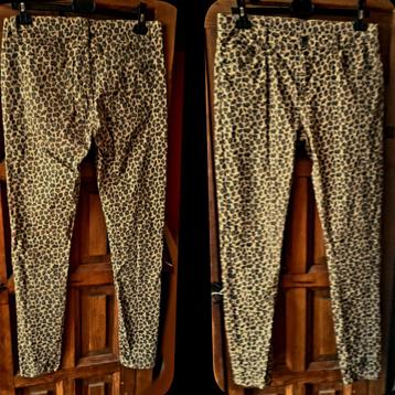 TAILLE 43 cm〕42 ♀️ 🔥ᴢɢᴀɴ【★★★★★】Broek【ZEEMAN】bruin, "panter" beschikbaar voor biedingen