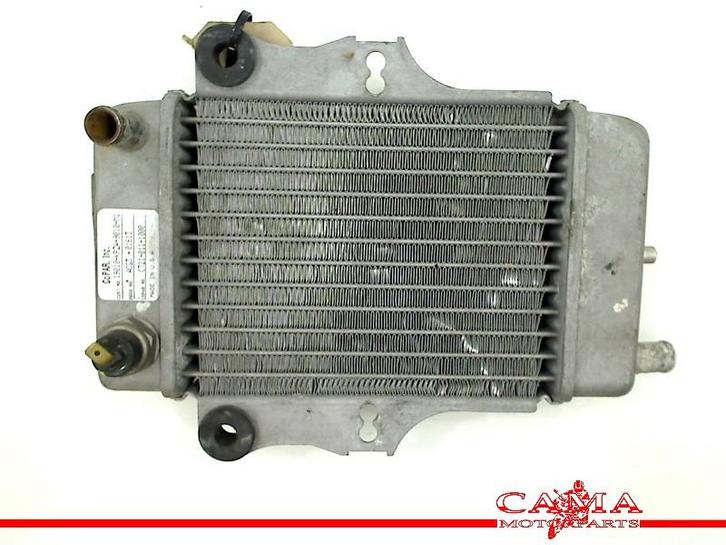 RADIATEUR Honda SES 150 Dylan (SES150) (01-1970/-) (614030), Motoren, Onderdelen | Honda, Gebruikt