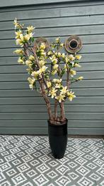 Nieuwe Handgemaakte Magnolia Boom, Ophalen, Nieuw, Binnen