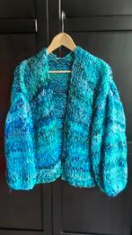 Handgebreid vest, Kleding | Dames, Truien en Vesten, Ophalen of Verzenden, Nieuw