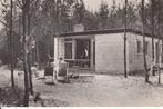 ,,De  Flaasbloem"- Chaam    Foto  kaart., Verzenden, 1940 tot 1960, Ongelopen, Noord-Brabant