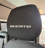 Ducato hoofdsteun, Ophalen of Verzenden, Gebruikt