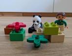 Duplo Panda Set 6173, Ophalen of Verzenden, Gebruikt, Losse stenen, Duplo