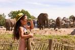 4 tickets Burger's Zoo., Tickets en Kaartjes, Recreatie | Dierentuinen, Drie personen of meer, Ticket of Toegangskaart