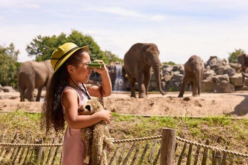 4 tickets Burger's Zoo., Tickets en Kaartjes, Recreatie | Dierentuinen, Drie personen of meer, Ticket of Toegangskaart