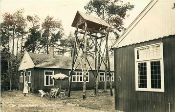 (387-246-049) Ermelo Dennenheul beschikbaar voor biedingen